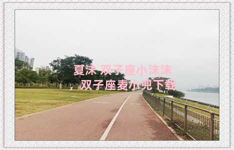 夏沬 双子座小沫沫，双子座麦小兜下载